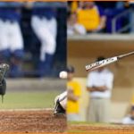 2012 Florida Gators baseball: Just win, baby.