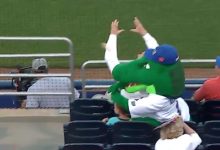 Florida mascot Albert saves small child by taking a baseball to his noggin