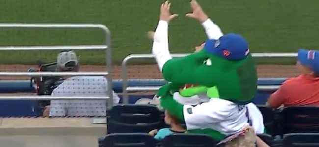 Florida mascot Albert saves small child by taking a baseball to his noggin